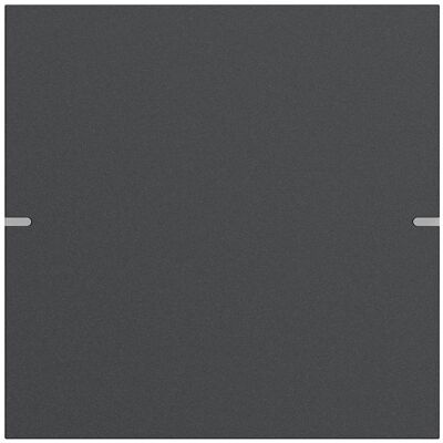 Gira 5021928, Taster + Schalter, Grau Gira 5021928, Taster + Schalter, Grau
