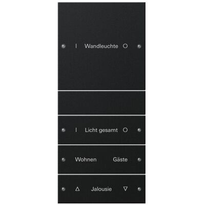 Gira 2204005, Schalter + Taster, Schwarz Gira 2204005, Schalter + Taster, Schwarz