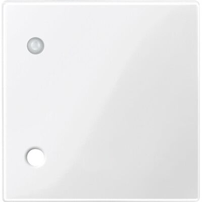 Merten, Zubehör Schalterprogramm, Zentralplatte für Zugtaster, polarweiss 450719 Merten, Zubehör Schalterprogramm, Zentralplatte für Zugtaster, polarweiss 450719