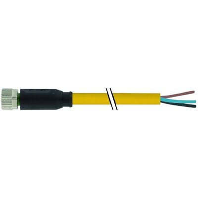 Murr Elektronik 7000-08041-0100500 Sensor-/Aktor-Steckverbinder, unkonfektioniert 5.00 m Polzahl: 3 1 St., Elektronikkabel + Stecker, Gelb Murr Elektronik 7000-08041-0100500 Sensor-/Aktor-Steckverbinder, unkonfektioniert 5.00 m Polzahl: 3 1 St., Elektronikkabel + Stecker, Gelb