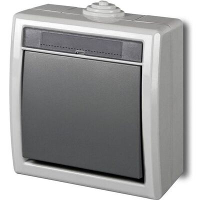 Elektro-Plast, Lichtschalter + Storenschalter, LIGHT BUTTON AQUANT 1205-10 GREY Elektro-Plast, Lichtschalter + Storenschalter, LIGHT BUTTON AQUANT 1205-10 GREY