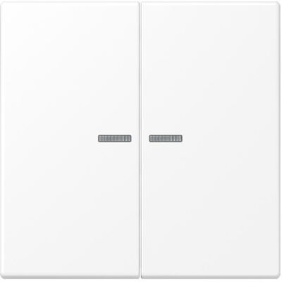 JUNG LS995KO5WWM Doppel-Wippe - IP44 Schalter JUNG LS995KO5WWM Doppel-Wippe - IP44 Schalter