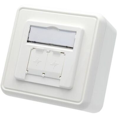 Telegärtner Modul-Aufnahme AP 80x80 2-fach alpinweiss, Zubehör Netzwerk Telegärtner Modul-Aufnahme AP 80x80 2-fach alpinweiss, Zubehör Netzwerk