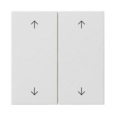 Gira Wippe 2f Pfeile System 55 Reinweiss m 538727, Schalter + Taster, Weiss Gira Wippe 2f Pfeile System 55 Reinweiss m 538727, Schalter + Taster, Weiss