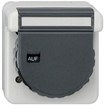 Gira, Steckdose, 444031 SCHUKO KD Bajonett + BSF WG Gira, Steckdose, 444031 SCHUKO KD Bajonett + BSF WG