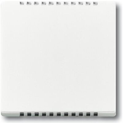 Busch-Jaeger 6541-84 Zentralplatte - Drehdimmer Montage - Weiß Busch-Jaeger 6541-84 Zentralplatte - Drehdimmer Montage - Weiß