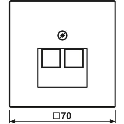 Jung ME 2969-2 UA AT - Abdeckung Mess/antik, 2-fach, Messing Jung ME 2969-2 UA AT - Abdeckung Mess/antik, 2-fach, Messing