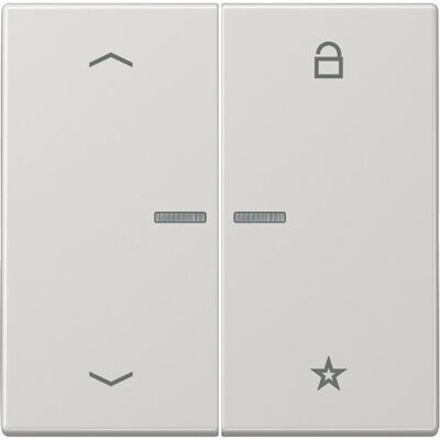 JUNG FM LS 1701 P LG eNet, Schalter + Taster, Grau JUNG FM LS 1701 P LG eNet, Schalter + Taster, Grau