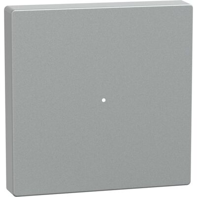 Schneider, Zubehör Schalterprogramm, Wippe für Tastermodul 1fach, aluminium, System M MTN625160 Schneider, Zubehör Schalterprogramm, Wippe für Tastermodul 1fach, aluminium, System M MTN625160