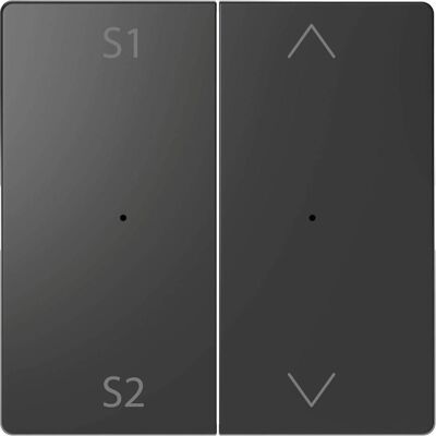 Merten, Zubehör Schalterprogramm, Wippen für Taster-Modul 2fach (Szene1/2, MEG5227-6034 Merten, Zubehör Schalterprogramm, Wippen für Taster-Modul 2fach (Szene1/2, MEG5227-6034