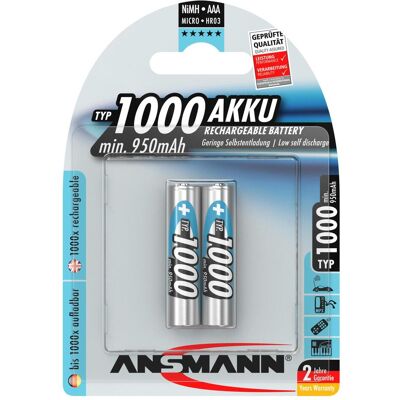 Ansmann Typ 1000 (2 Stk., AAA, 1000 mAh), Batterien + Akkus Ansmann Typ 1000 (2 Stk., AAA, 1000 mAh), Batterien + Akkus
