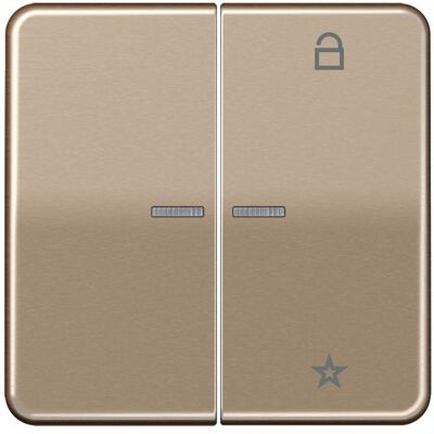 JUNG FM CD 1701 GB eNet Funk-Steuertaste, Schalter + Taster, Bronze JUNG FM CD 1701 GB eNet Funk-Steuertaste, Schalter + Taster, Bronze