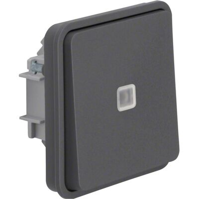 Berker 50463525, Schalter + Taster, Grau Berker 50463525, Schalter + Taster, Grau