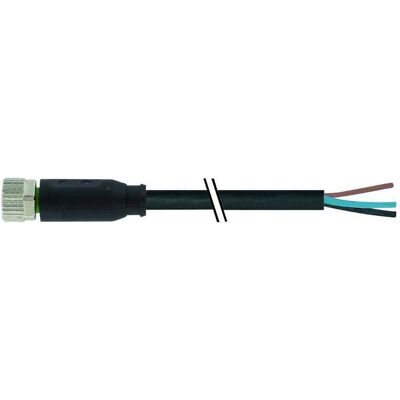 Murr Elektronik 7000-08061-6511000 Sensor-/Aktor-Steckverbinder, unkonfektioniert 10.00 m Polzahl: 4 1 St., Elektronikkabel + Stecker, Schwarz Murr Elektronik 7000-08061-6511000 Sensor-/Aktor-Steckverbinder, unkonfektioniert 10.00 m Polzahl: 4 1 St., Elektronikkabel + Stecker, Schwarz