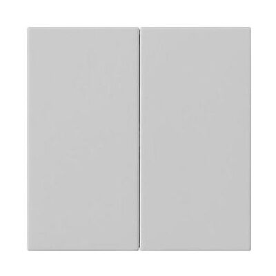 Gira Wippe 2f unbedruckt System 55 Grau m 5370015, Schalter + Taster, Grau Gira Wippe 2f unbedruckt System 55 Grau m 5370015, Schalter + Taster, Grau