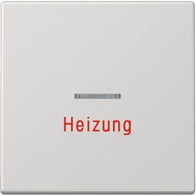 JUNG, Zubehör Schalterprogramm, Kontrollwippe Schalter LS lgr glz LS990HLG JUNG, Zubehör Schalterprogramm, Kontrollwippe Schalter LS lgr glz LS990HLG