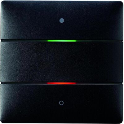 Theben, Lichtschalter + Storenschalter, THEB Tastsensor Theben, Lichtschalter + Storenschalter, THEB Tastsensor