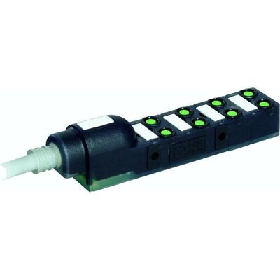 Murr Elektronik MURR 8000-88010-3570300, Elektronikkabel + Stecker, Schwarz Murr Elektronik MURR 8000-88010-3570300, Elektronikkabel + Stecker, Schwarz