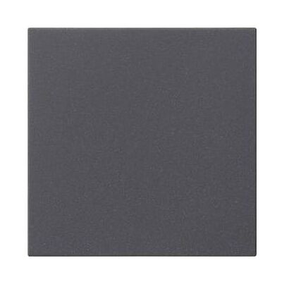 Gira Wippe 1f unbedruckt System 55 Anthrazit 537228, Schalter + Taster, Grau Gira Wippe 1f unbedruckt System 55 Anthrazit 537228, Schalter + Taster, Grau