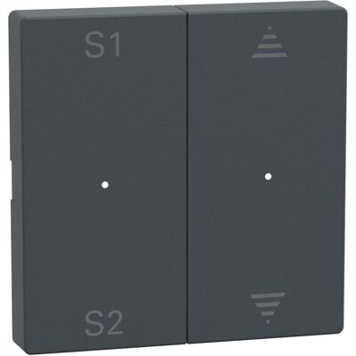 Merten, Zubehör Schalterprogramm, Wippe anth. 2f Szene1/2 Auf/Ab MEG5227-0414 Merten, Zubehör Schalterprogramm, Wippe anth. 2f Szene1/2 Auf/Ab MEG5227-0414