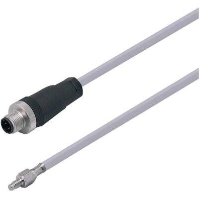 ifm Electronic TS2759 - Temperaturfühler M5 -30-180°C ifm Electronic TS2759 - Temperaturfühler M5 -30-180°C
