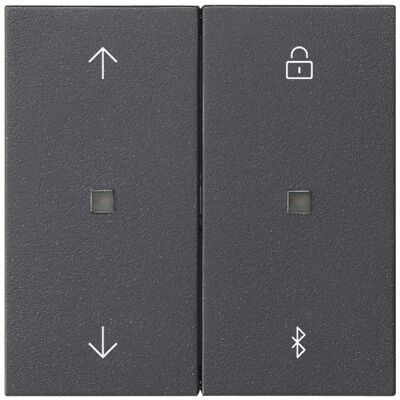 Gira, Zeitschaltuhr, S3000 Jal.- + Schaltuhr BT System 55 Anthrazit Gira, Zeitschaltuhr, S3000 Jal.- + Schaltuhr BT System 55 Anthrazit