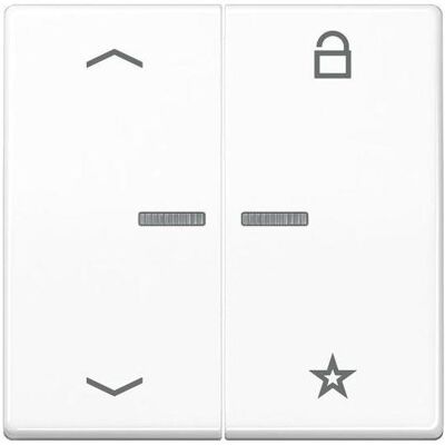 JUNG FMAS1701PWW, Schalter + Taster, Weiss JUNG FMAS1701PWW, Schalter + Taster, Weiss