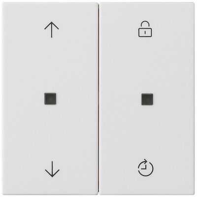 Gira 549227, Schalter + Taster, Weiss Gira 549227, Schalter + Taster, Weiss