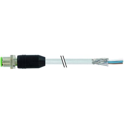 Murr Elektronik 7000-13081-3311000 Sensor-/Aktor-Steckverbinder, unkonfektioniert 10.00 m Polzahl: 4 1 St., Elektronikkabel + Stecker, Grau Murr Elektronik 7000-13081-3311000 Sensor-/Aktor-Steckverbinder, unkonfektioniert 10.00 m Polzahl: 4 1 St., Elektronikkabel + Stecker, Grau