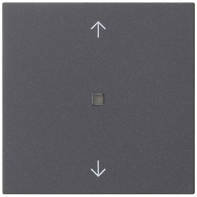 Gira 549428, Schalter + Taster, Grau Gira 549428, Schalter + Taster, Grau
