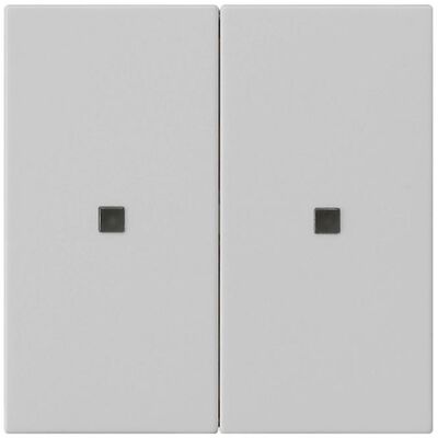 Gira 5107015, Schalter + Taster, Grau Gira 5107015, Schalter + Taster, Grau