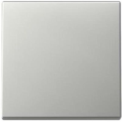 Gira - System 55 - Edelstahl - Wippe Gira - System 55 - Edelstahl - Wippe