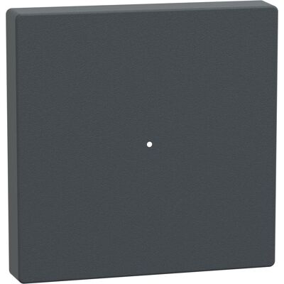Schneider, Zubehör Schalterprogramm, Wippe für Tastermodul 1fach, anthrazit, System M MTN625114 Schneider, Zubehör Schalterprogramm, Wippe für Tastermodul 1fach, anthrazit, System M MTN625114