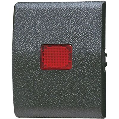 JUNG, Zubehör Schalterprogramm, Kontrollwippe Schalter WG 800 anth mt 800KO JUNG, Zubehör Schalterprogramm, Kontrollwippe Schalter WG 800 anth mt 800KO