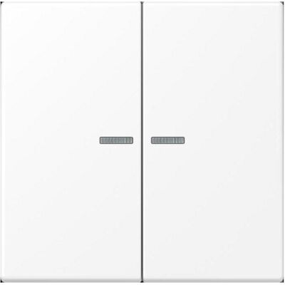 Jung Alpino Mate 2F Schalter - Smart Home Steuerung Jung Alpino Mate 2F Schalter - Smart Home Steuerung