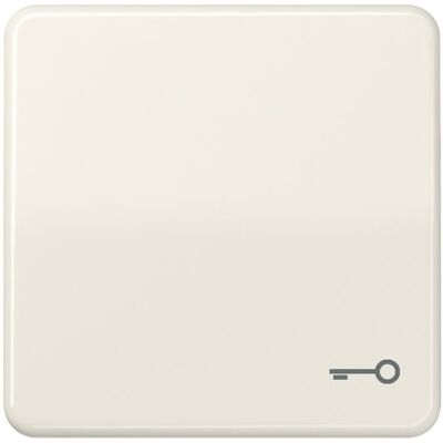JUNG, Zubehör Schalterprogramm, Wippe Schalter CD ws glz Schl/Tür CD590T JUNG, Zubehör Schalterprogramm, Wippe Schalter CD ws glz Schl/Tür CD590T