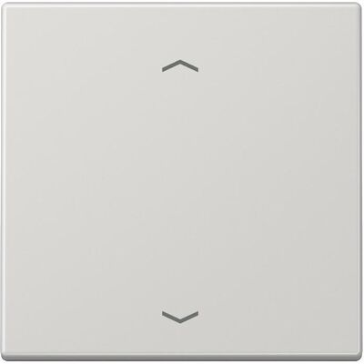 JUNG, Lichtschalter + Storenschalter, Wandsender 300m Funk LS 1kan gr glz ENOLS990PLG JUNG, Lichtschalter + Storenschalter, Wandsender 300m Funk LS 1kan gr glz ENOLS990PLG
