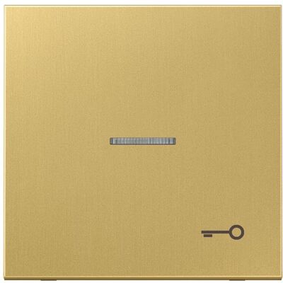 JUNG, Zubehör Schalterprogramm, Wippe 1t Schalter LS ms mt Schl/Tür ME2990KO5TC JUNG, Zubehör Schalterprogramm, Wippe 1t Schalter LS ms mt Schl/Tür ME2990KO5TC