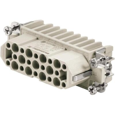 Weidmüller Kontakteinsatz Buchse 25p Crimp 4A 250V 1023050000, Elektronikkabel + Stecker Weidmüller Kontakteinsatz Buchse 25p Crimp 4A 250V 1023050000, Elektronikkabel + Stecker