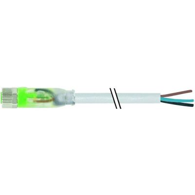 Murr Elektronik 7000-08111-2300500 Sensor-/Aktor-Steckverbinder, unkonfektioniert 5.00 m 1 St., Elektronikkabel + Stecker, Grau Murr Elektronik 7000-08111-2300500 Sensor-/Aktor-Steckverbinder, unkonfektioniert 5.00 m 1 St., Elektronikkabel + Stecker, Grau