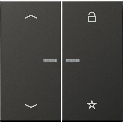 JUNG FMAL1701PAN, Schalter + Taster, Schwarz JUNG FMAL1701PAN, Schalter + Taster, Schwarz