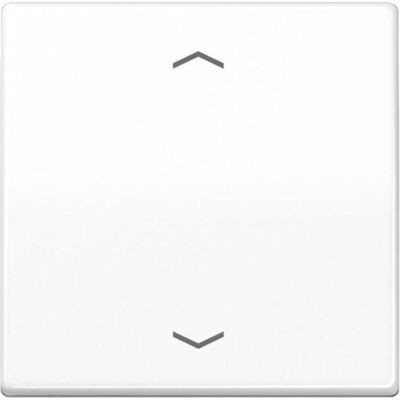 JUNG, Zubehör Schalterprogramm, Wippe 2t Jalousie AS aws glz Pfeile AS101PWW JUNG, Zubehör Schalterprogramm, Wippe 2t Jalousie AS aws glz Pfeile AS101PWW