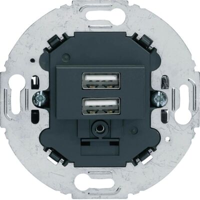 Berker, Steckdose, USB-Ladesteckdose 230V 2fach 3.0A Tragring rund anthrazit Berker, Steckdose, USB-Ladesteckdose 230V 2fach 3.0A Tragring rund anthrazit