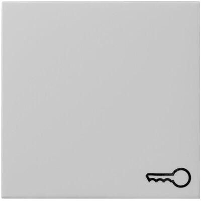 Gira Wippe Symb. Tür System 55 Grau m 0287015, Schalter + Taster, Grau Gira Wippe Symb. Tür System 55 Grau m 0287015, Schalter + Taster, Grau