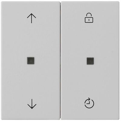 Gira 5492015, Schalter + Taster, Grau Gira 5492015, Schalter + Taster, Grau