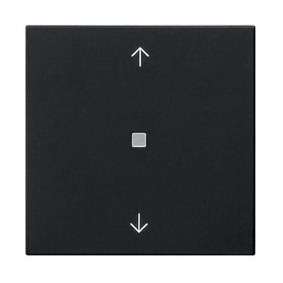 Gira 5382005 S3000 - BT Pfeile - switch Gira 5382005 S3000 - BT Pfeile - switch