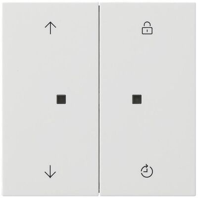 Gira 5492112, Schalter + Taster, Weiss Gira 5492112, Schalter + Taster, Weiss