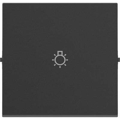 Legrand SEANO Wippe mit Lichtsymbol für Wechselschalter, Taster und Kreuzschalter, Schalter + Taster, Silber Legrand SEANO Wippe mit Lichtsymbol für Wechselschalter, Taster und Kreuzschalter, Schalter + Taster, Silber