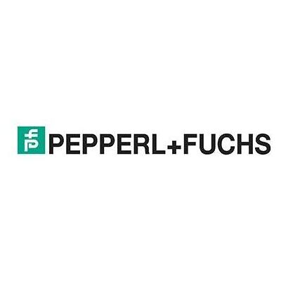 Pepperl & Fuchs PEPPERL+FUCHS NCB50-FP-Z5-V1 (Sensor), Elektronikmodul Pepperl & Fuchs PEPPERL+FUCHS NCB50-FP-Z5-V1 (Sensor), Elektronikmodul