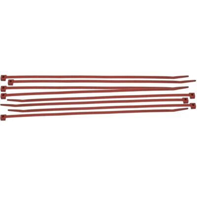 Brady, Kabelbinder, Leitungs- und Kabelbinder aus Nylon (Kunststoffkabelbinder, 200 mm, 100 Stk.) Brady, Kabelbinder, Leitungs- und Kabelbinder aus Nylon (Kunststoffkabelbinder, 200 mm, 100 Stk.)